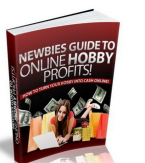 Newbies Guide To Online Hobby Profits